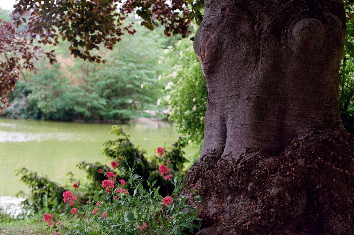 Photo d'élève : composition nature au bord de l'eau