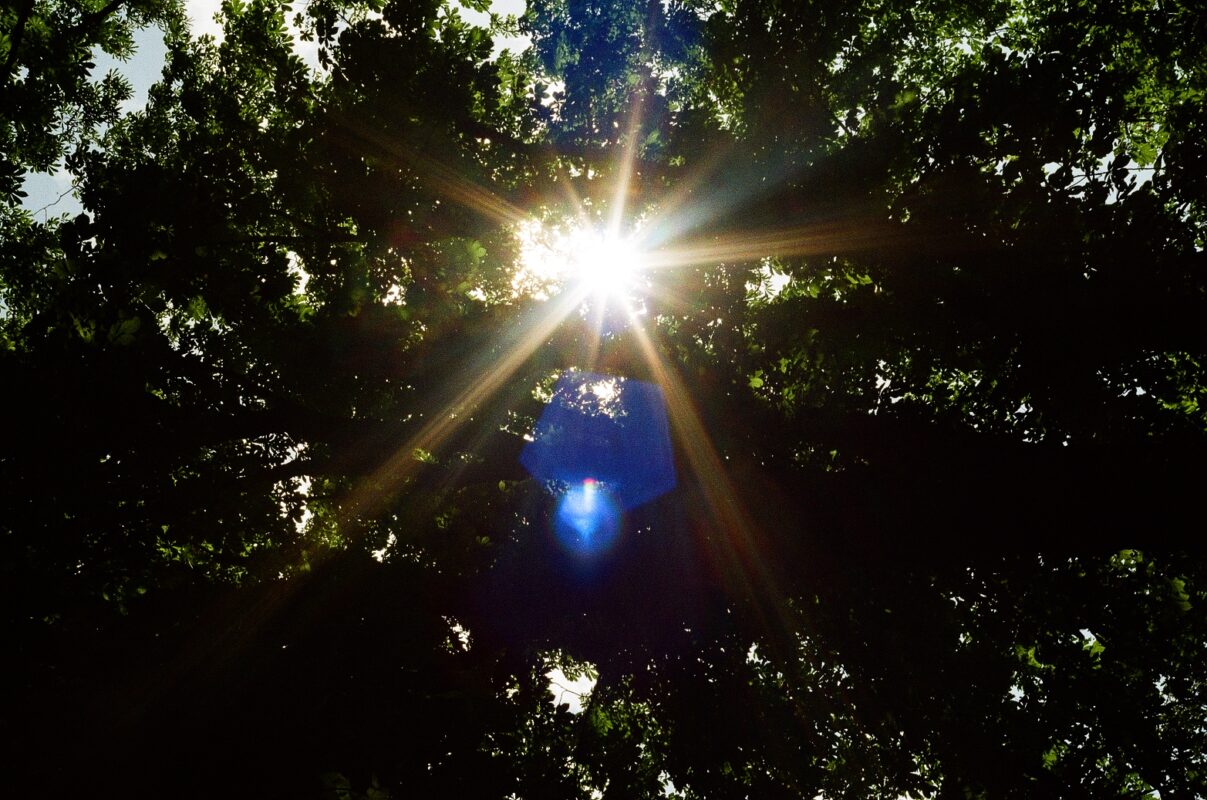 Photo d'élève : rayon de soleil en étoile à travers les arbres, photographié en argentique